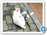 DSCN0863.01