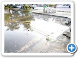 DSCN0866