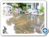 DSCN0874