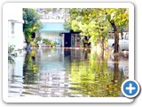 DSCN0879