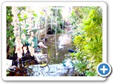 DSCN0898