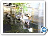 DSCN0899