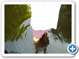 DSCN0903