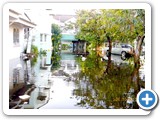 DSCN0913