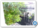 DSCN0001