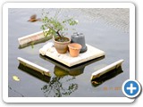 DSCN1054