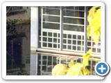 DSCN1057