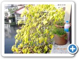 DSCN1058