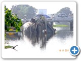 DSCN1212